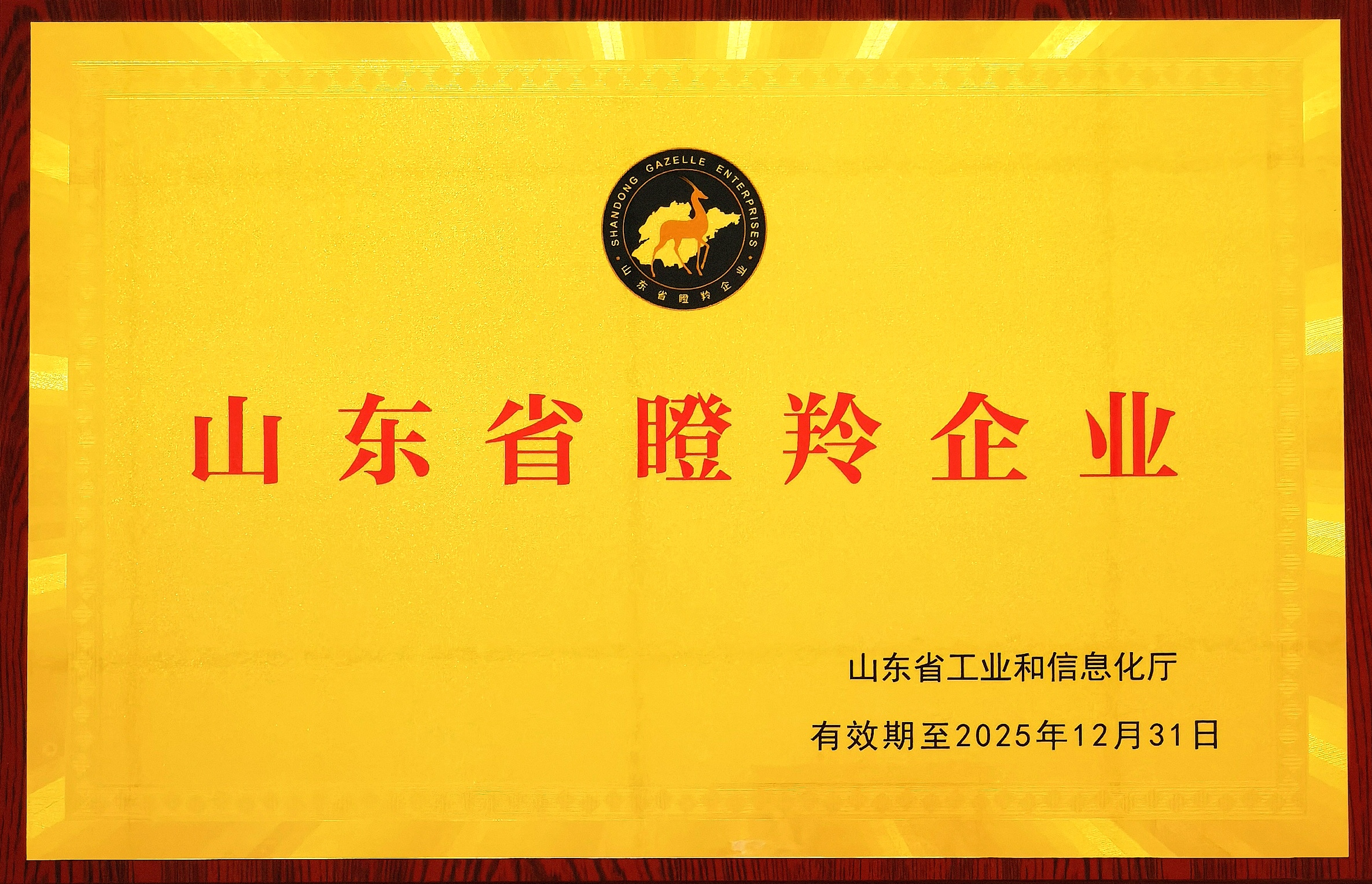 1660612210307677.jpg 微信圖片_20220629194219.jpg